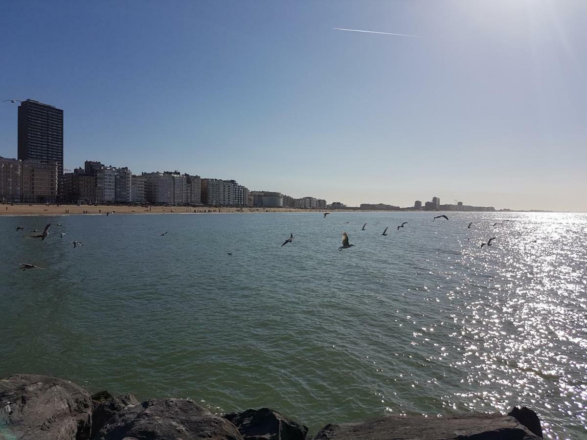 Marina Mercator Ostende Kültér fotó